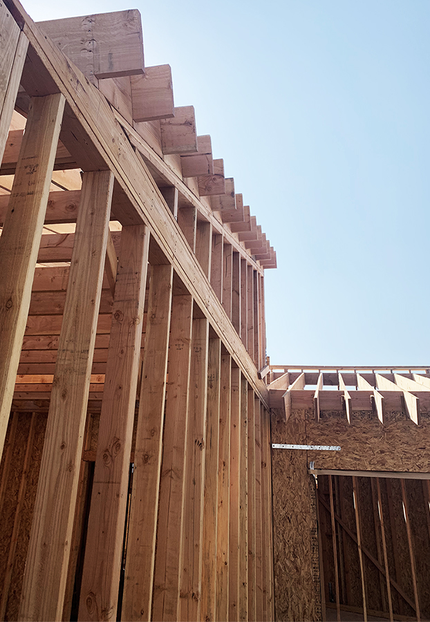 A construction photo of adult residential building. Wood framing and plywood.